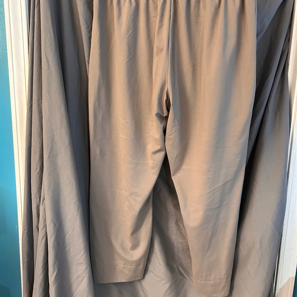 Rachel Zoe Taupe Cropped Pants - Picture 2 of 3